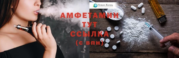 шишки Арсеньев
