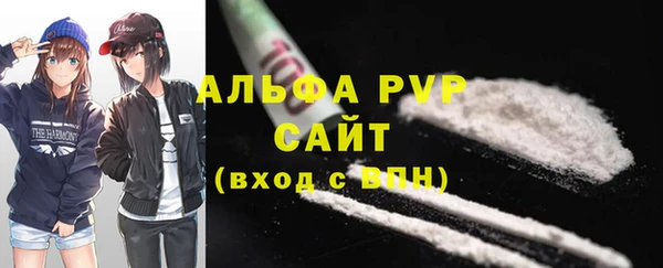 шишки Арсеньев