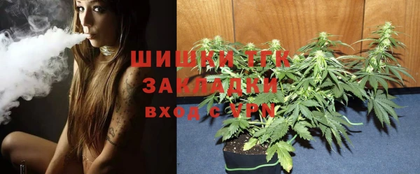 шишки Арсеньев