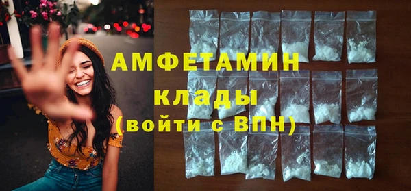 шишки Арсеньев