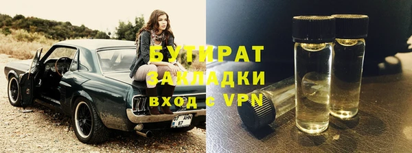 шишки Арсеньев
