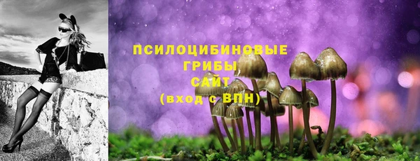 шишки Арсеньев