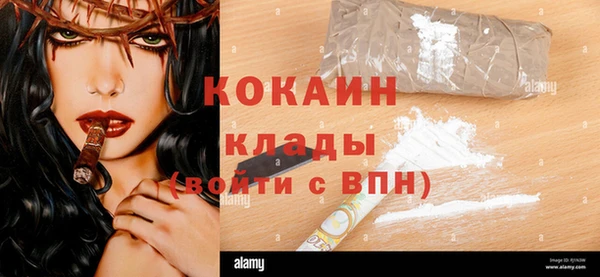 шишки Арсеньев