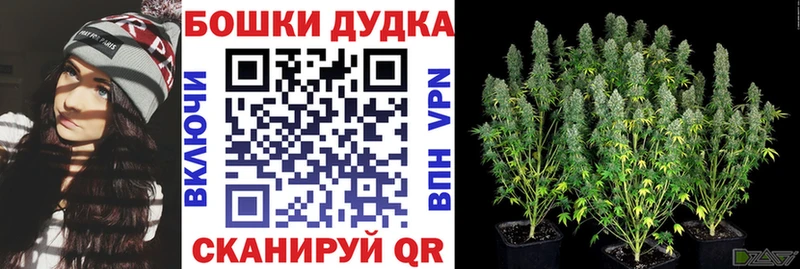 Бошки Шишки гибрид  Приморск 